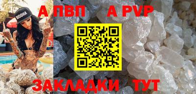 молекула духа Кингисепп