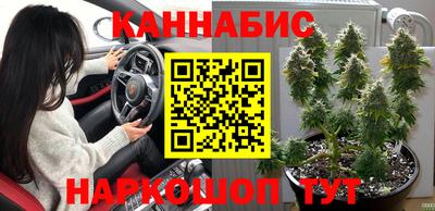 молекула духа Кингисепп