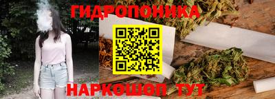 эйфоретик Кимры