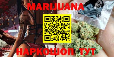 молекула духа Кингисепп