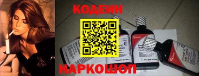 молекула духа Кингисепп